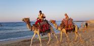 gal/2018/15 Egypt 2018/_thb_20180806_175657.jpg